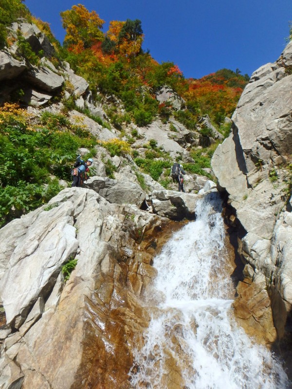 f:id:PerseidCross:20141011132413j:plain