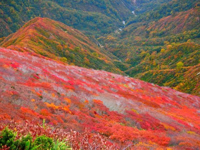 f:id:PerseidCross:20141012110358j:plain