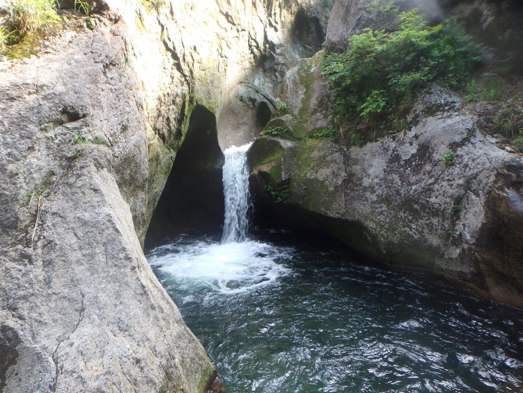 裏巻機渓谷 五十沢川本谷沢 - 雪中松柏 愈青々