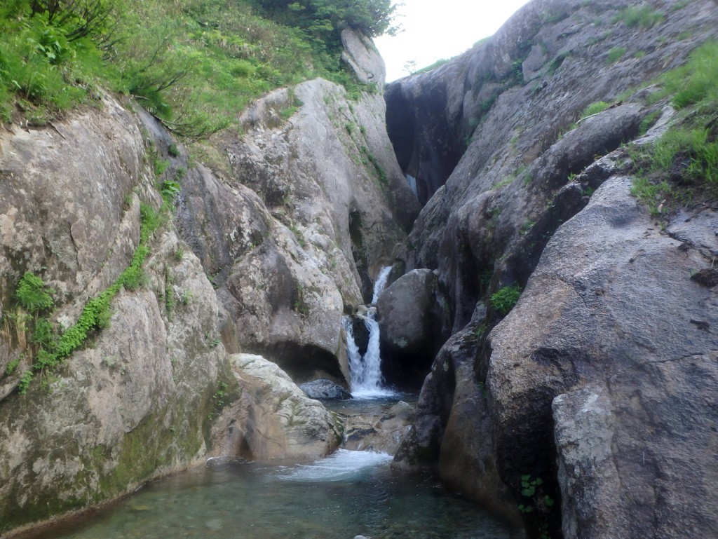 裏巻機渓谷 五十沢川本谷沢 - 雪中松柏 愈青々