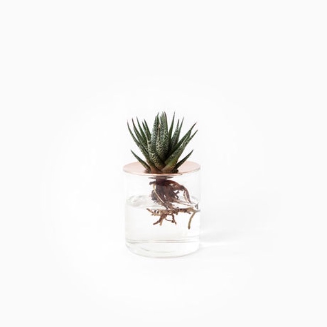 f:id:Pipeline:20150620161734j:image f:id:Pipeline:20150620161734j:image