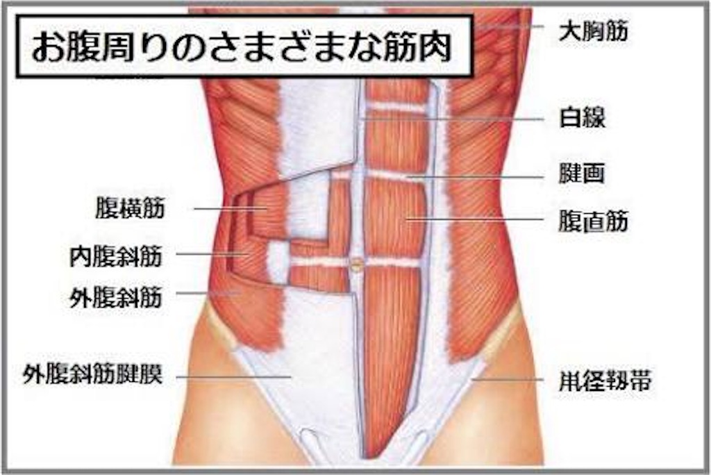 f:id:Pro-Ai-ProBodyDesign:20160216152158j:image f:id:Pro-Ai-ProBodyDesign:20160216152158j:image
