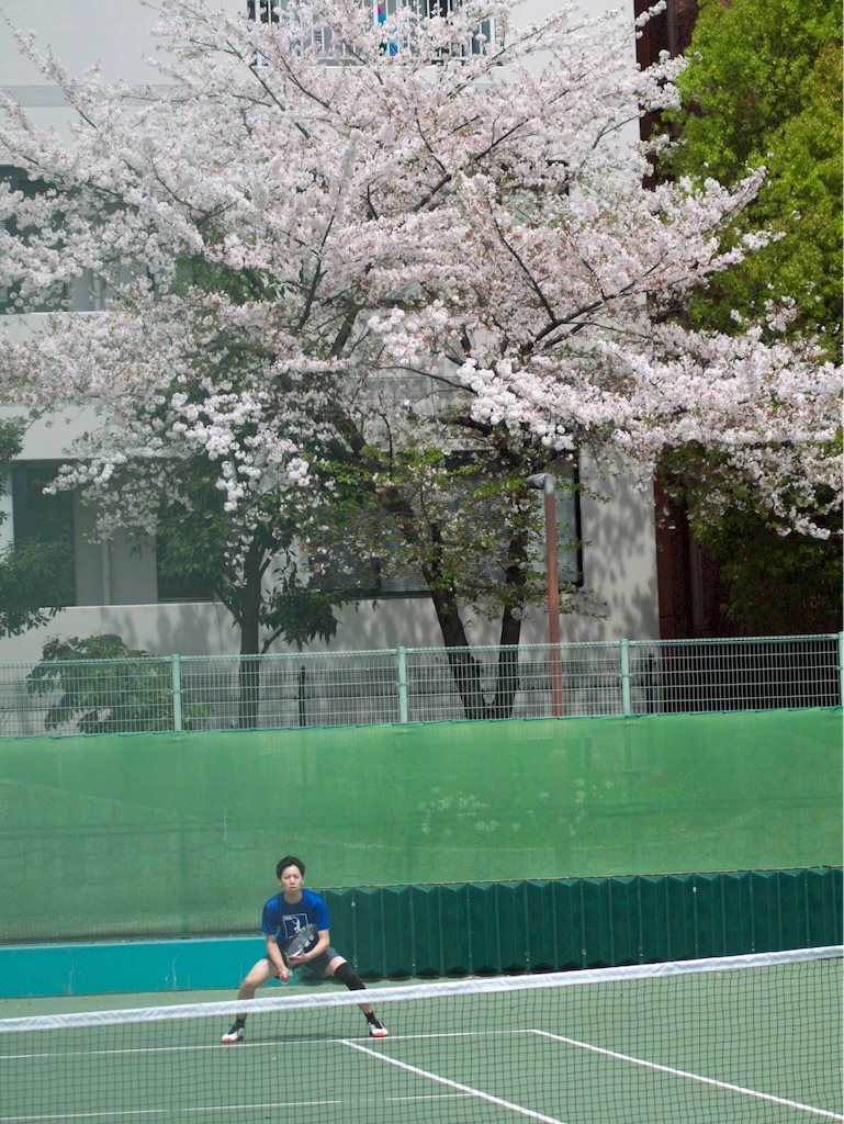f:id:Q-ton:20160416004546j:image f:id:Q-ton:20160416004546j:image