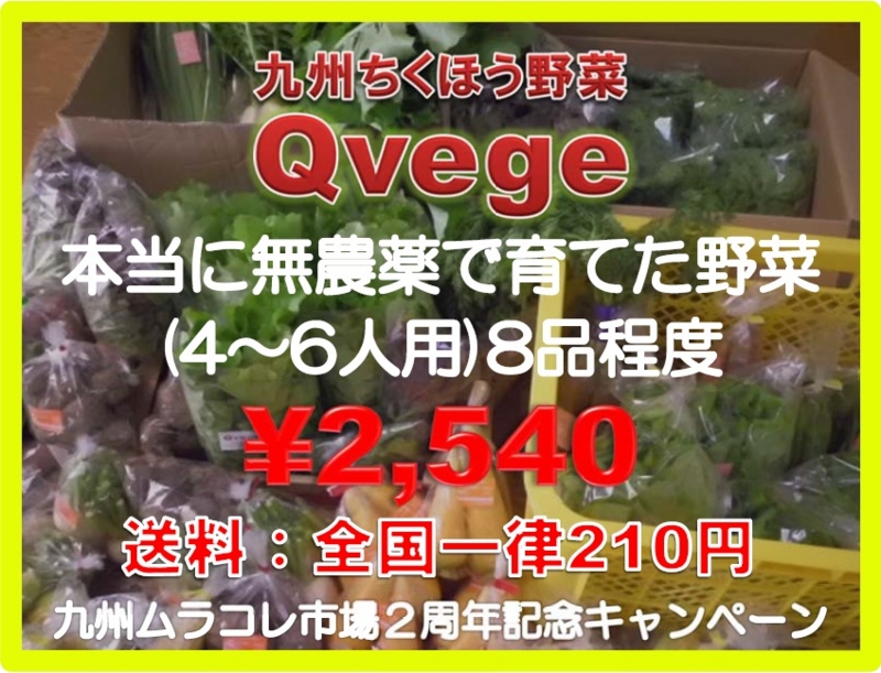 f:id:Qvege:20131210181715j:plain f:id:Qvege:20131210181715j:plain