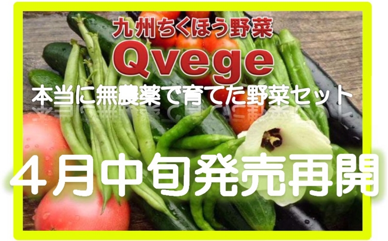 f:id:Qvege:20140320162308j:plain f:id:Qvege:20140320162308j:plain