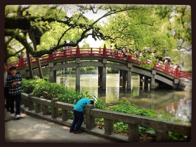 f:id:RACCA:20130428204145j:plain f:id:RACCA:20130428204145j:plain
