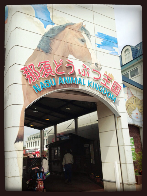 f:id:RACCA:20130520062629j:plain f:id:RACCA:20130520062629j:plain