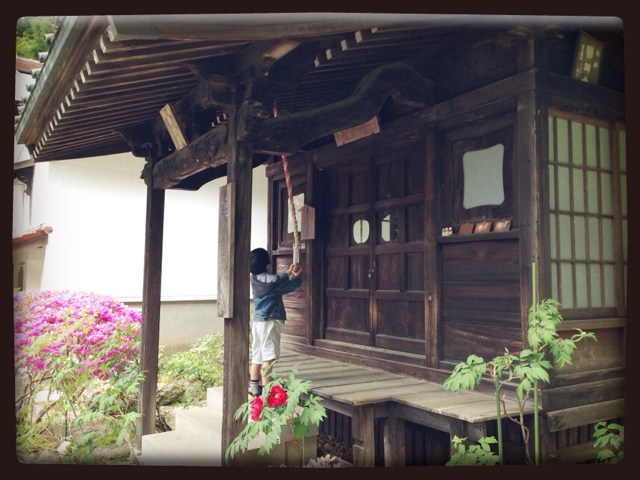 f:id:RACCA:20130520210434j:plain f:id:RACCA:20130520210434j:plain