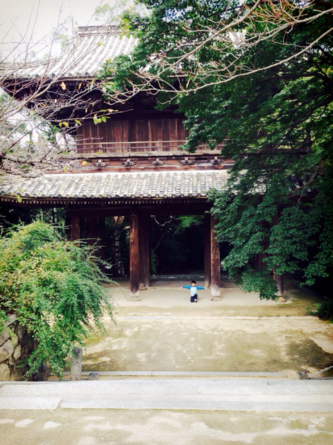 f:id:RACCA:20131027222851j:plain f:id:RACCA:20131027222851j:plain