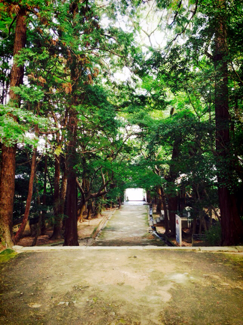 f:id:RACCA:20131027222913j:plain f:id:RACCA:20131027222913j:plain
