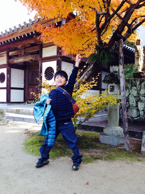 f:id:RACCA:20131125053709j:plain f:id:RACCA:20131125053709j:plain