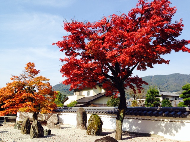 f:id:RACCA:20131125053804j:plain f:id:RACCA:20131125053804j:plain