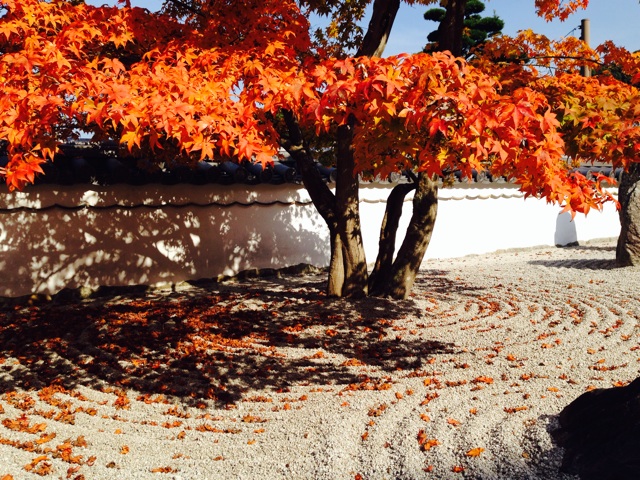 f:id:RACCA:20131125053930j:plain f:id:RACCA:20131125053930j:plain