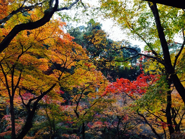 f:id:RACCA:20131125054610j:plain f:id:RACCA:20131125054610j:plain