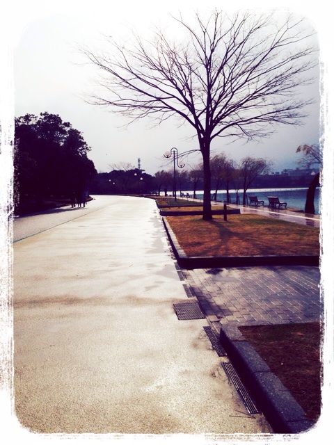 f:id:RACCA:20131222114419j:plain f:id:RACCA:20131222114419j:plain