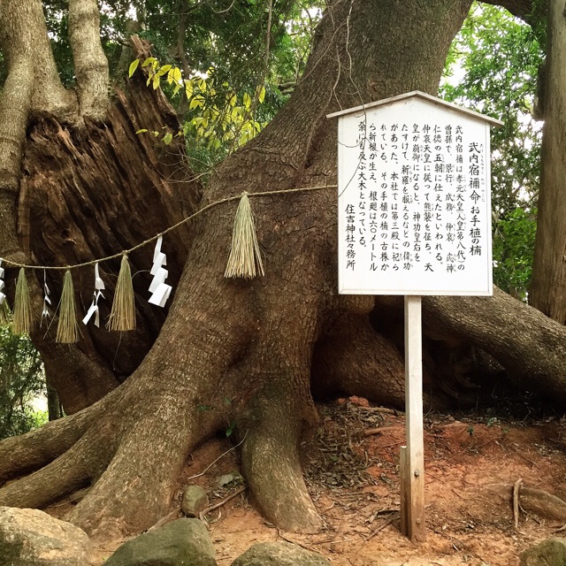 f:id:RACCA:20150112172254j:plain f:id:RACCA:20150112172254j:plain
