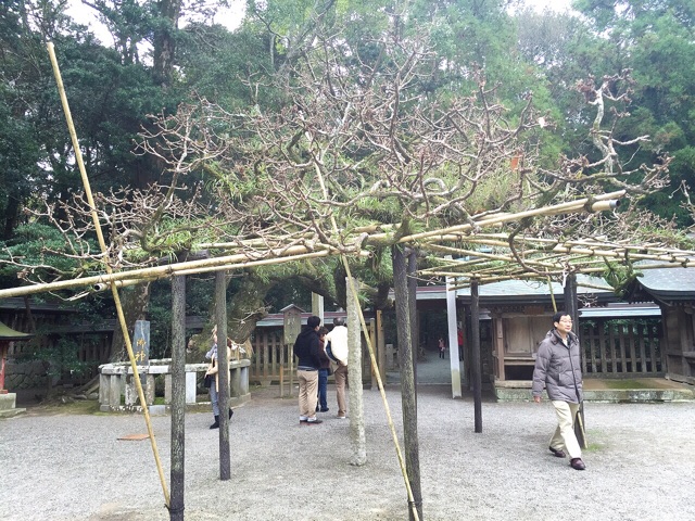 f:id:RACCA:20150125121155j:plain f:id:RACCA:20150125121155j:plain