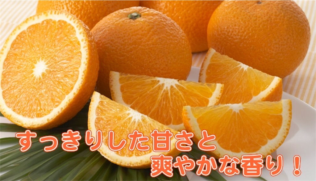 f:id:RAGE-kun:20160130161426j:image f:id:RAGE-kun:20160130161426j:image