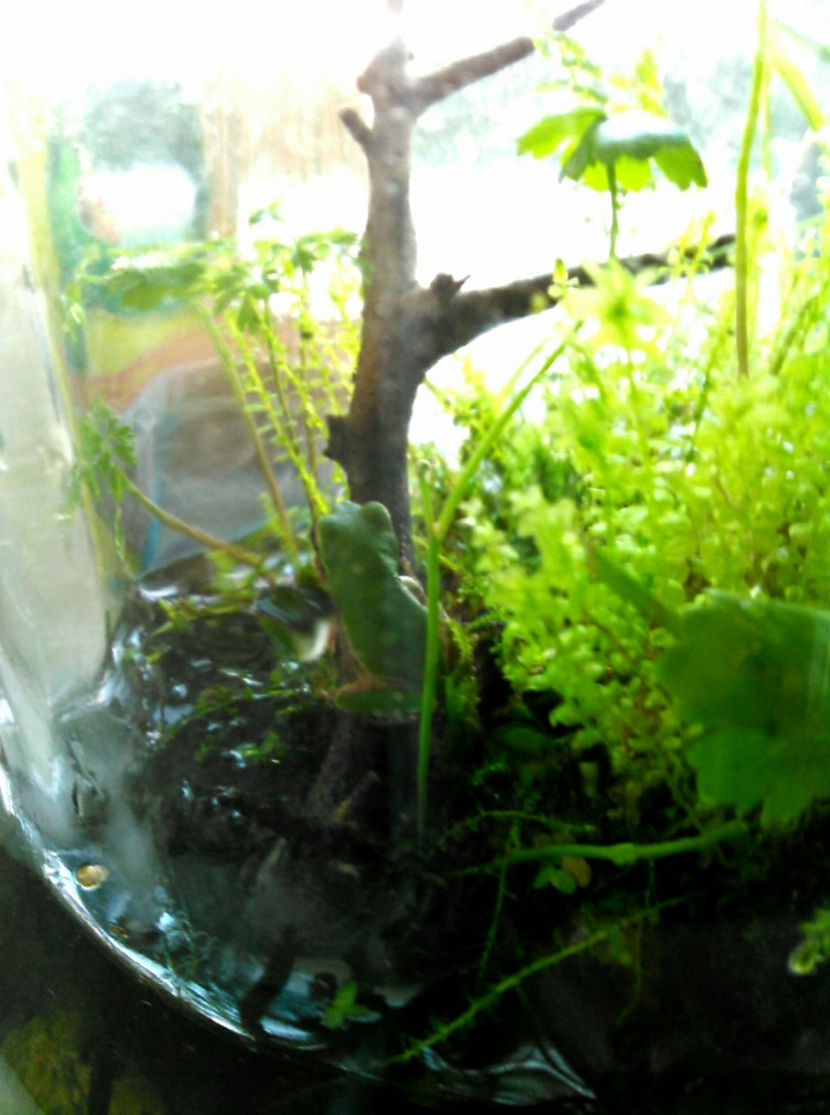 f:id:RIKORIKO:20150926142222j:plain f:id:RIKORIKO:20150926142222j:plain