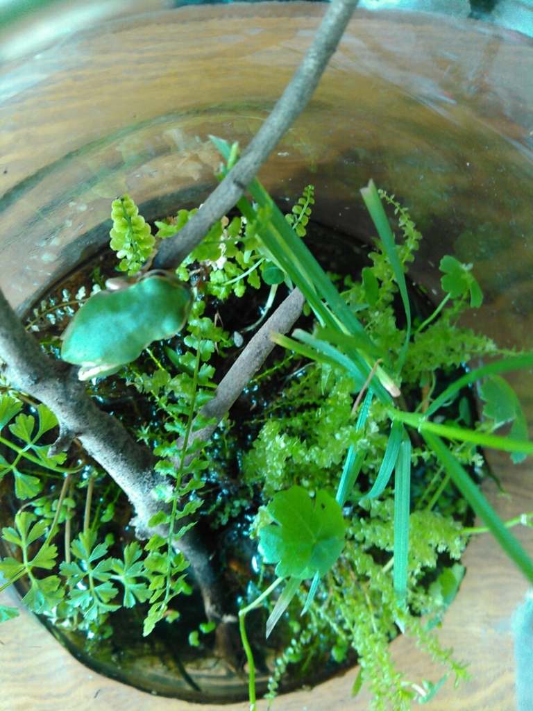 f:id:RIKORIKO:20150926142304j:plain f:id:RIKORIKO:20150926142304j:plain