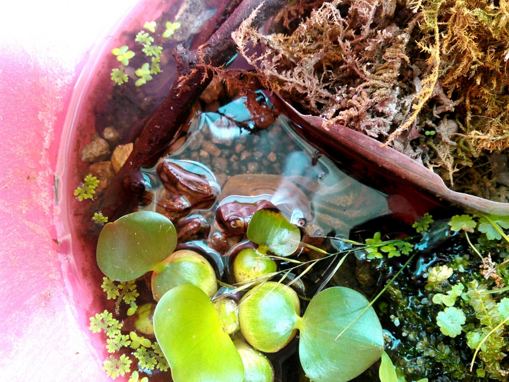 f:id:RIKORIKO:20150926143822j:plain f:id:RIKORIKO:20150926143822j:plain