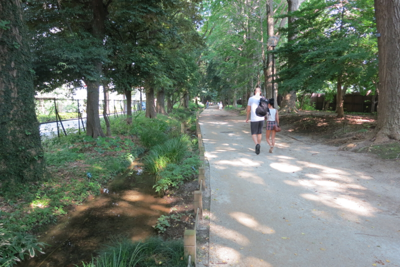 f:id:RIPEkun:20140726145206j:plain f:id:RIPEkun:20140726145206j:plain