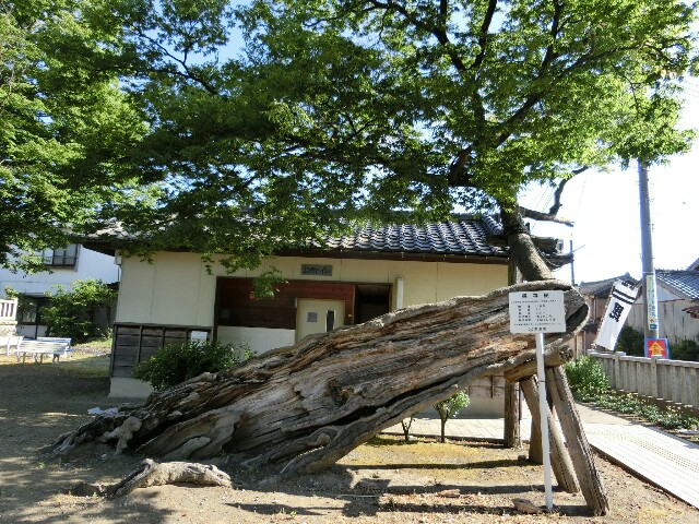 f:id:RTS_TTR:20150607203824j:image f:id:RTS_TTR:20150607203824j:image