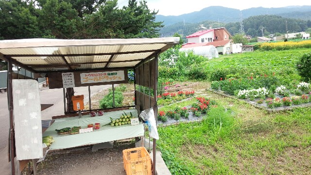 f:id:RTS_TTR:20150804205834j:image f:id:RTS_TTR:20150804205834j:image