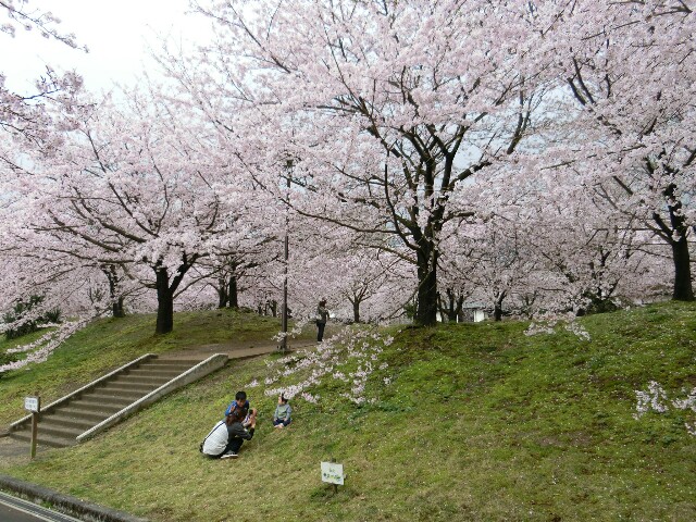 f:id:RTS_TTR:20160404212150j:image f:id:RTS_TTR:20160404212150j:image