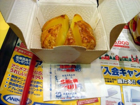 f:id:R_I:20081125015313j:image