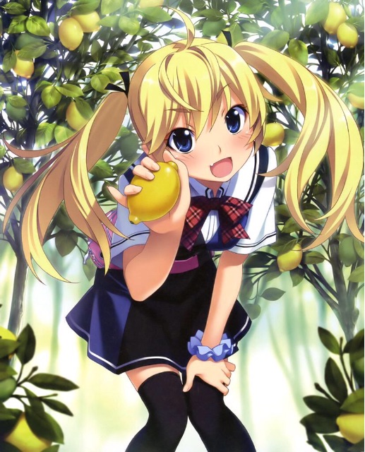 f:id:RoKiYa_yp:20150606095157j:image f:id:RoKiYa_yp:20150606095157j:image