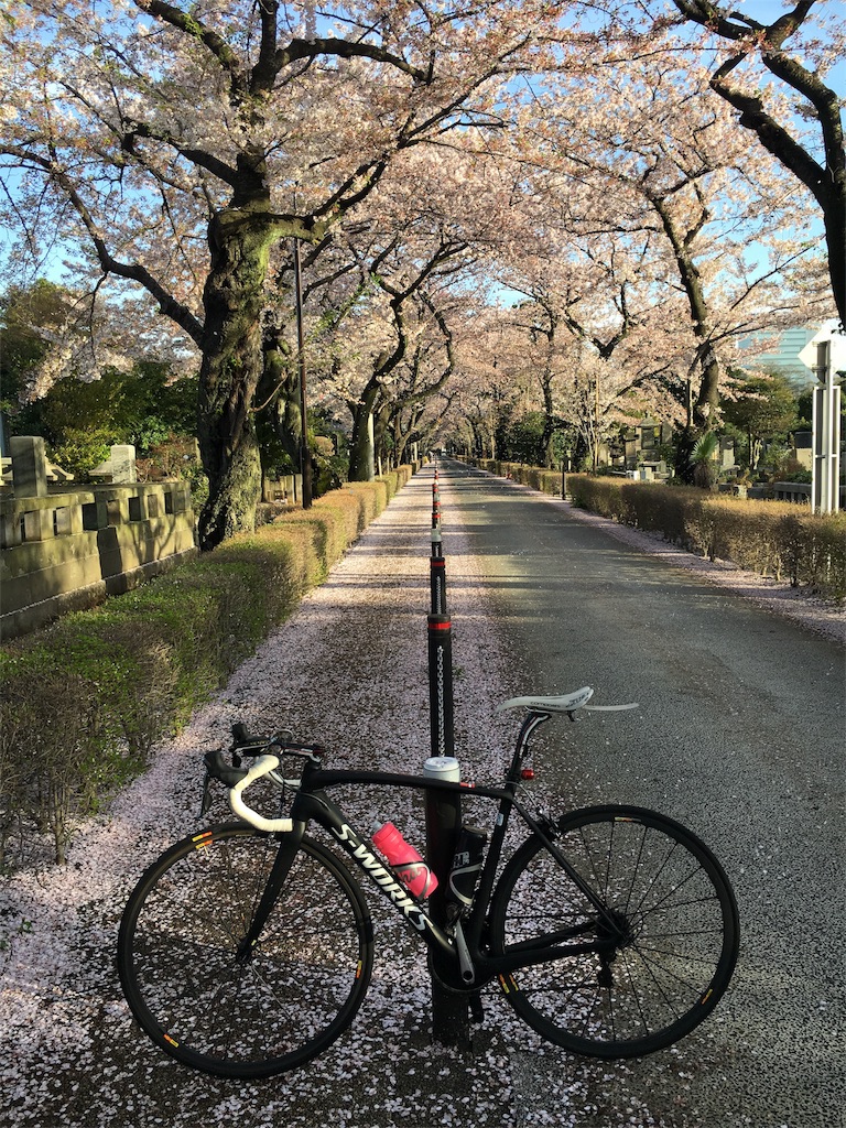 f:id:Rupin:20160408073040j:image