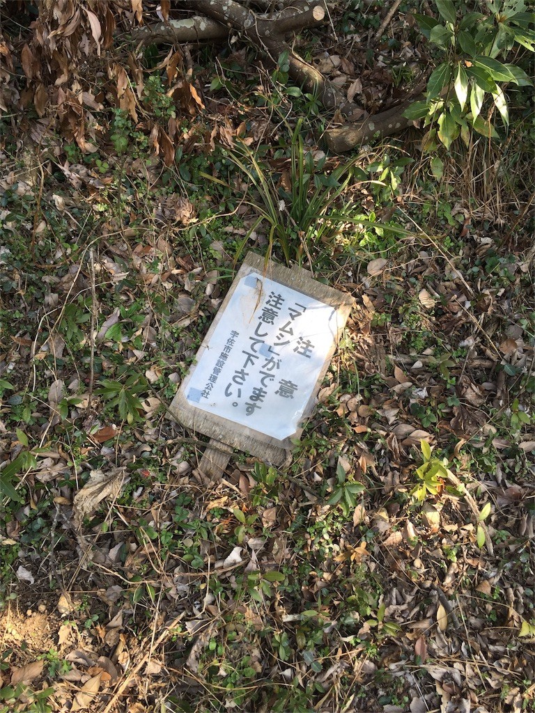 f:id:RyoKAWAGOE:20160303084545j:image f:id:RyoKAWAGOE:20160303084545j:image