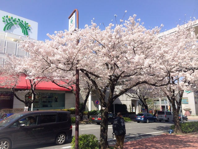 f:id:Ryoukei:20150401144226j:plain f:id:Ryoukei:20150401144226j:plain