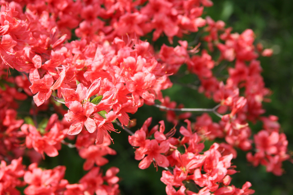 f:id:RyuichiXP:20080602020047j:image:w500 f:id:RyuichiXP:20080602020047j:image:w500