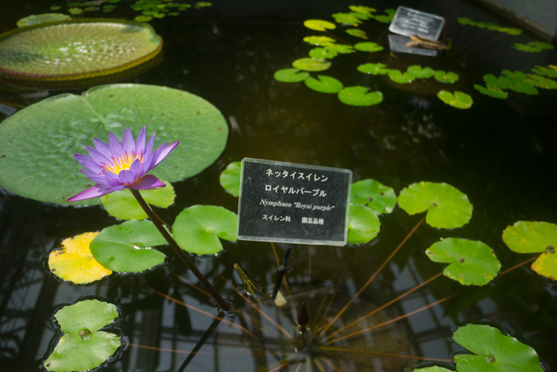 f:id:RyuichiXP:20110730112745j:image f:id:RyuichiXP:20110730112745j:image