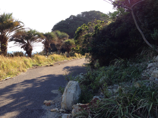 f:id:SB2C:20131015210210j:plain f:id:SB2C:20131015210210j:plain