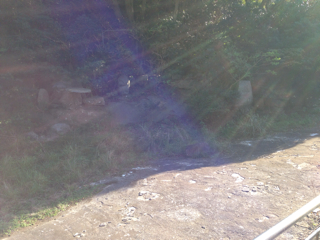 f:id:SB2C:20131015210500j:plain f:id:SB2C:20131015210500j:plain