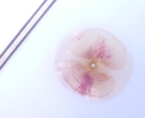 f:id:SEAKONG:20140730192133j:plain f:id:SEAKONG:20140730192133j:plain