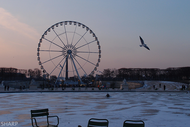 f:id:SHARP:20120209064007j:image