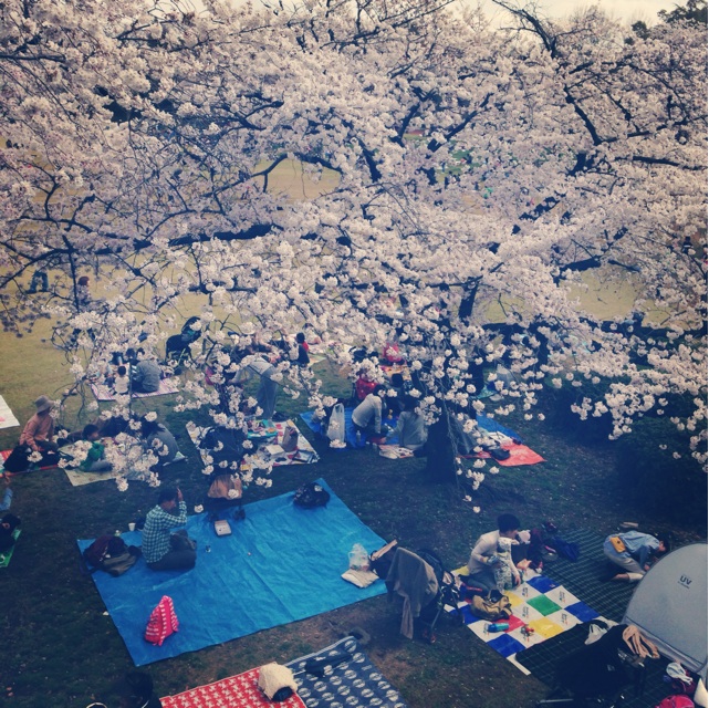 f:id:SHIORI-LIGHT:20140404124215j:plain f:id:SHIORI-LIGHT:20140404124215j:plain