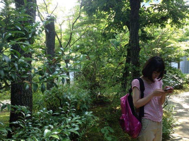 f:id:SHIORI-LIGHT:20140616131632j:plain f:id:SHIORI-LIGHT:20140616131632j:plain