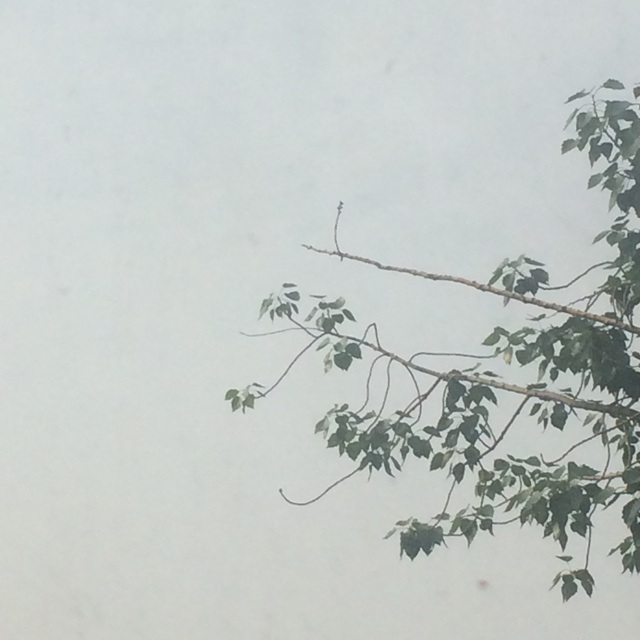 f:id:SHIUN:20140611232714j:plain f:id:SHIUN:20140611232714j:plain