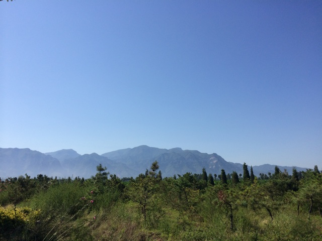 f:id:SHIUN:20140713174227j:plain f:id:SHIUN:20140713174227j:plain