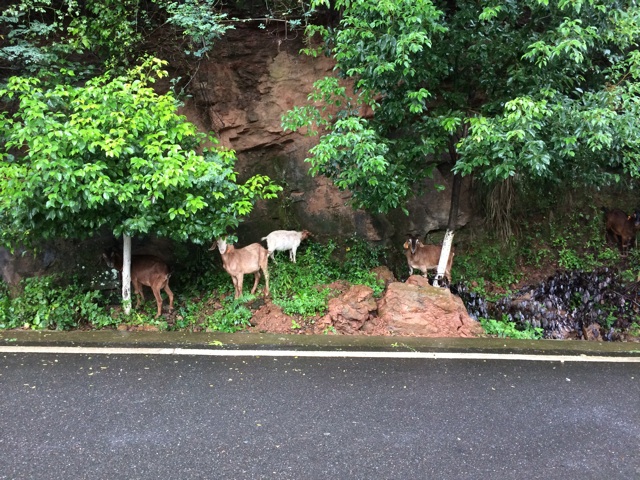 f:id:SHIUN:20140911231942j:plain f:id:SHIUN:20140911231942j:plain