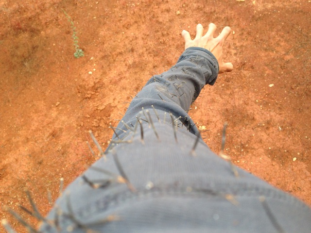 f:id:SHIUN:20141113211951j:plain f:id:SHIUN:20141113211951j:plain