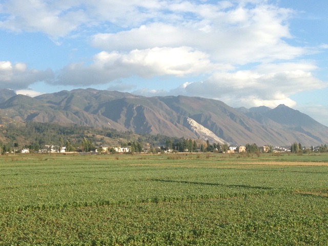 f:id:SHIUN:20141113221711j:plain f:id:SHIUN:20141113221711j:plain