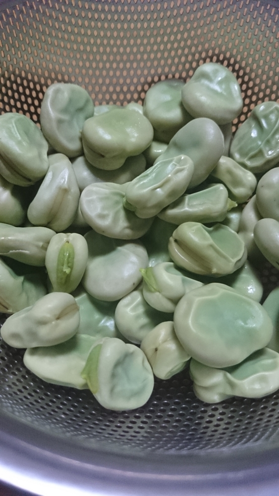 f:id:SOHSA:20140520205418j:plain