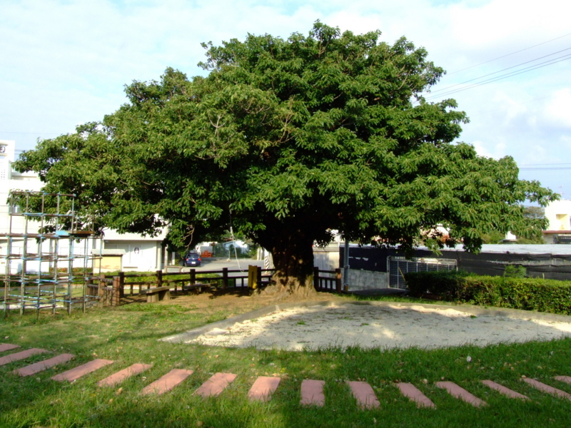 f:id:SQB:20090416215823j:image f:id:SQB:20090416215823j:image
