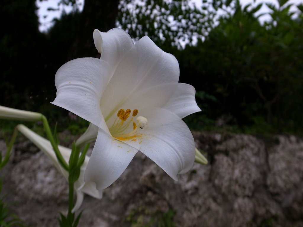 f:id:SQB:20120504154137j:image f:id:SQB:20120504154137j:image
